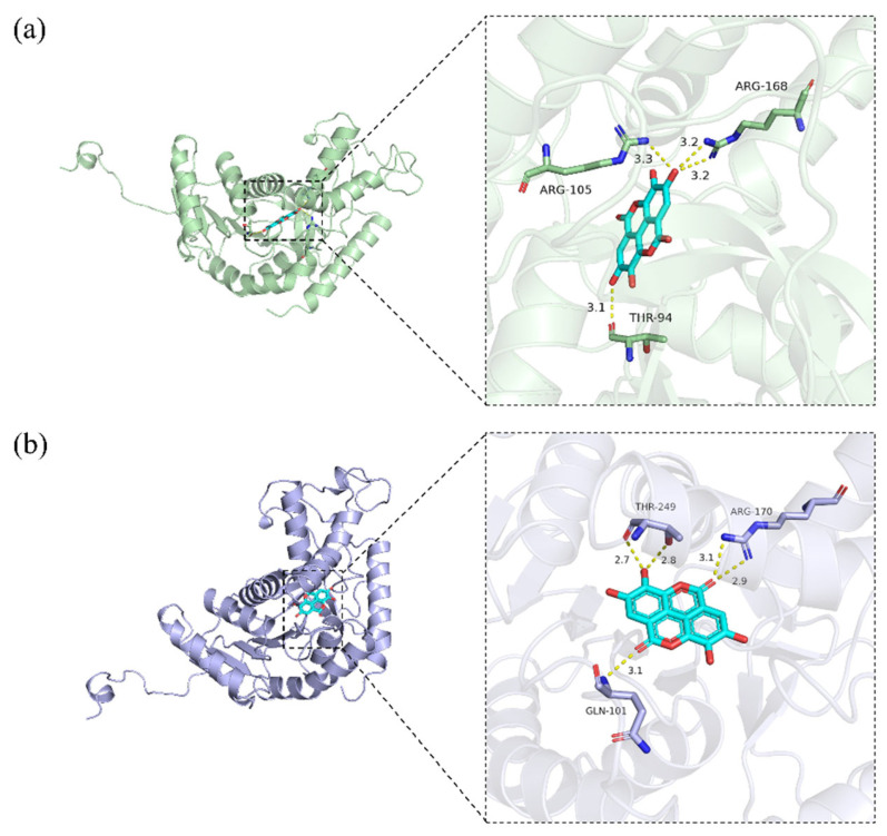 Figure 7