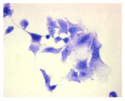 Figure 16