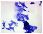 Figure 19