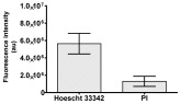 Figure 26