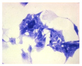 Figure 28