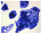 Figure 29