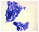 Figure 30