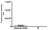 Figure 36