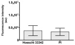 Figure 38