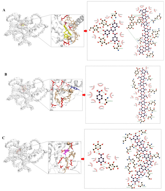 Figure 10