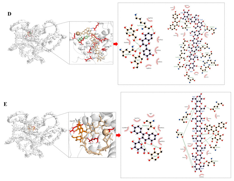 Figure 11