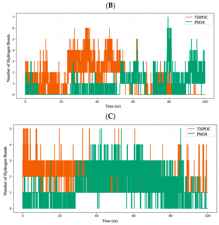 Figure 13