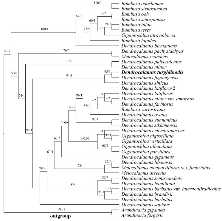 Figure 7
