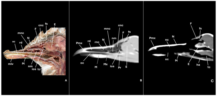 Figure 2