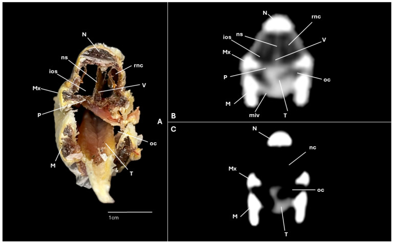 Figure 5