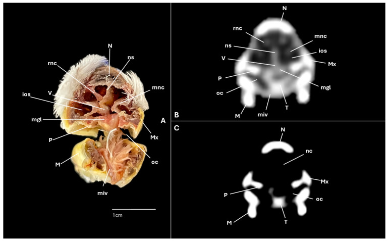 Figure 6