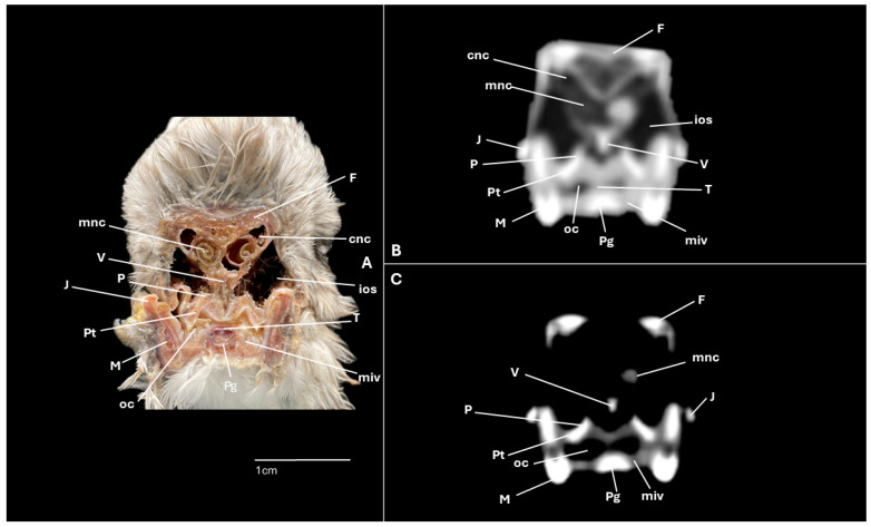 Figure 9