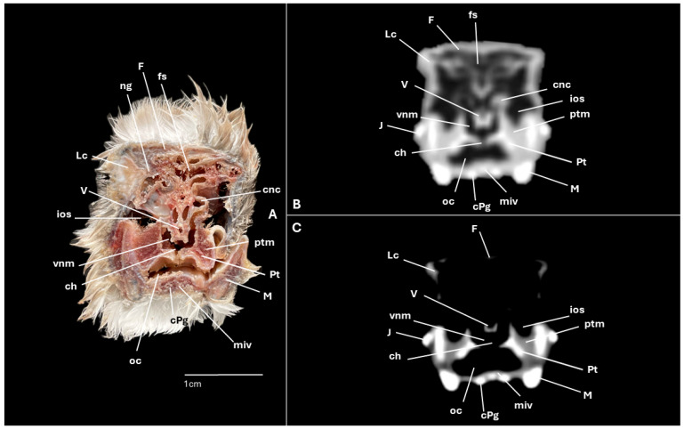 Figure 10