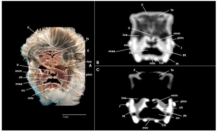 Figure 11