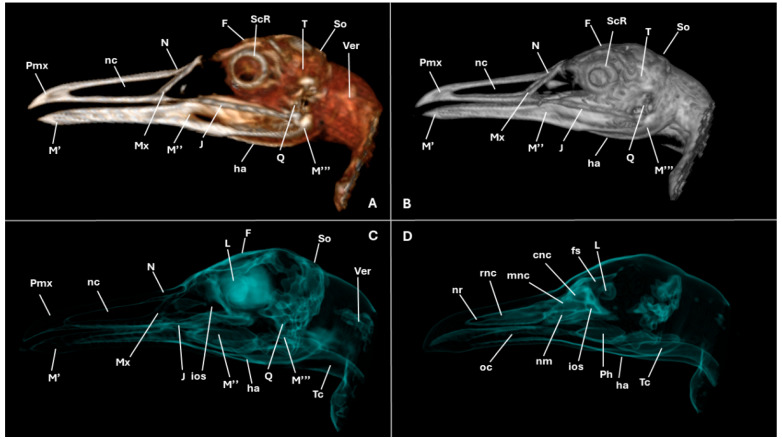 Figure 12