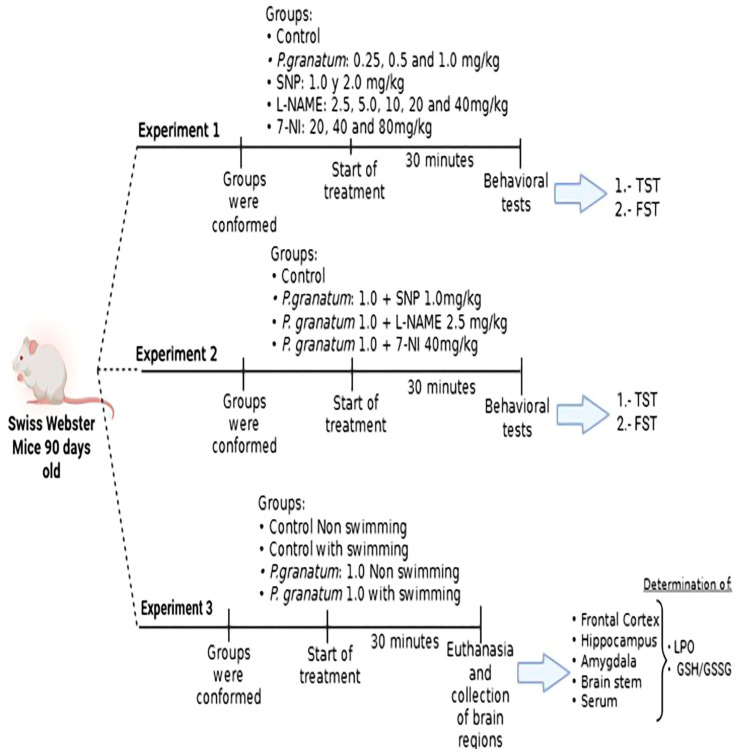 Figure 13