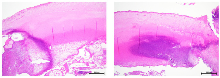 Figure 13