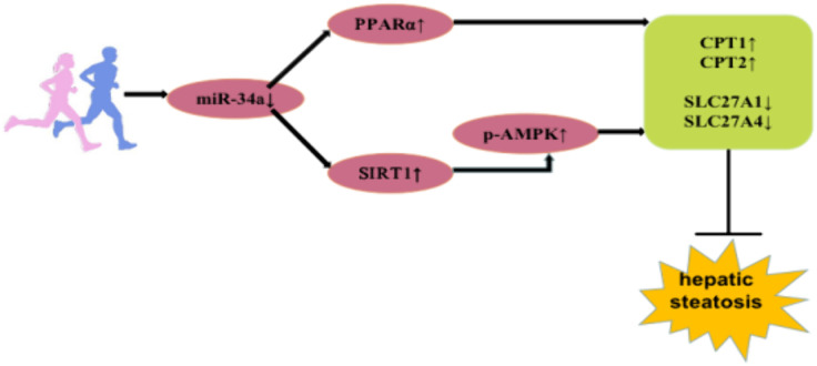 Fig 5