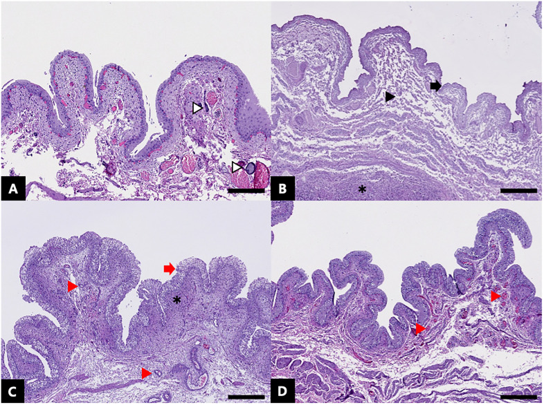 Fig 5