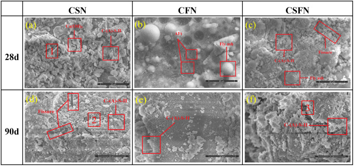 Fig 6
