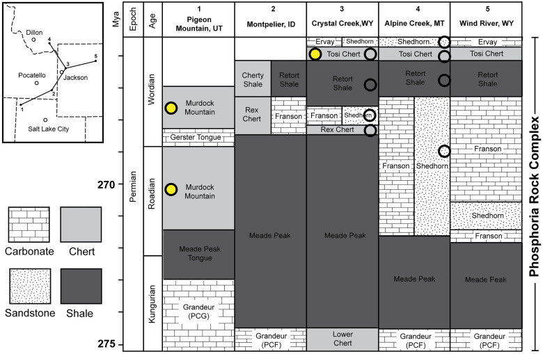 Fig 2