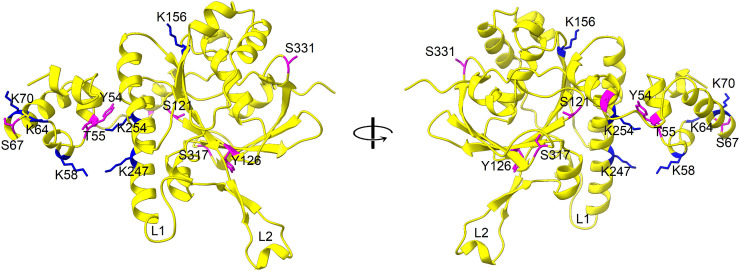 Fig 2