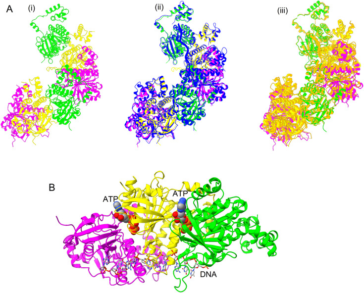 Fig 3