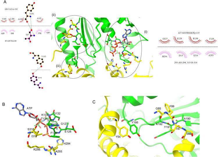 Fig 4