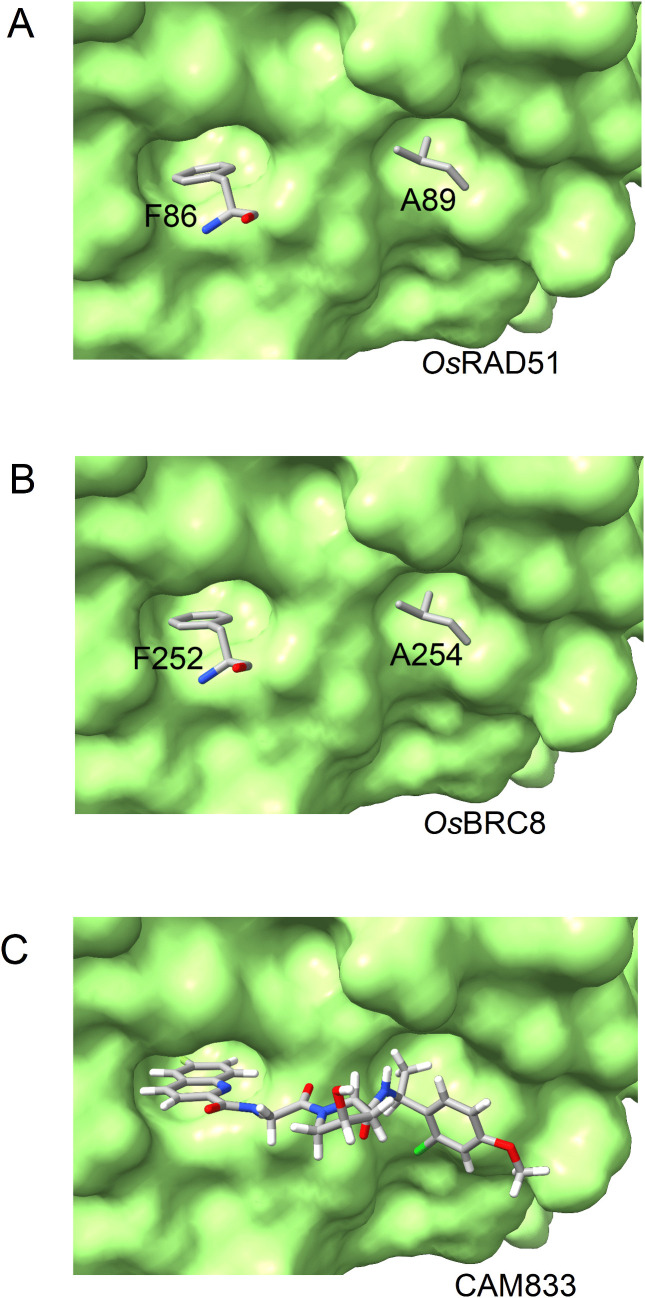 Fig 7