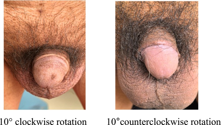 FIGURE 2