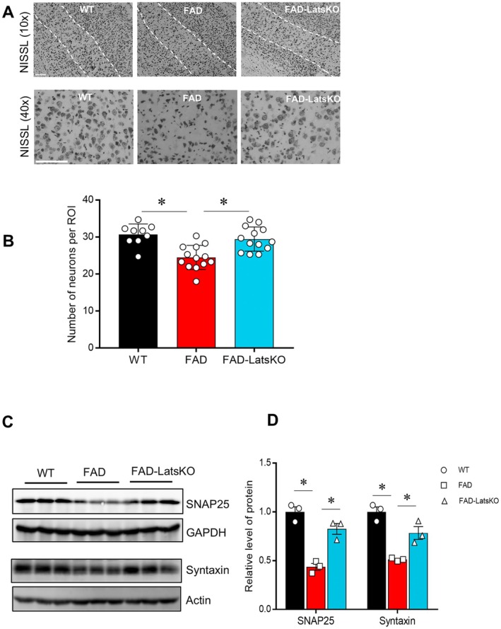 FIGURE 4
