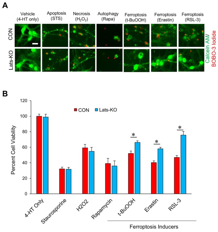 FIGURE 6