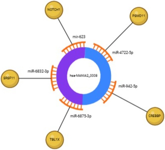 FIGURE 10