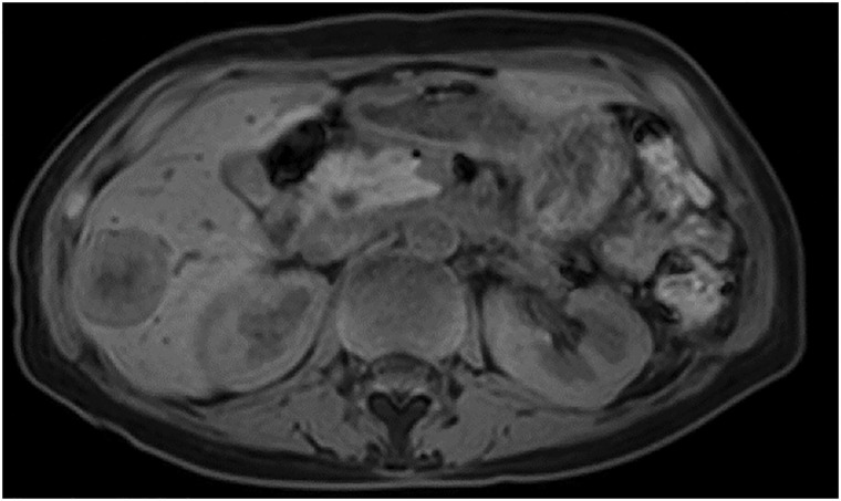 Fig. 5