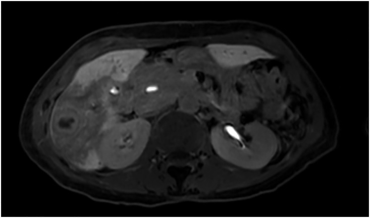 Fig. 7