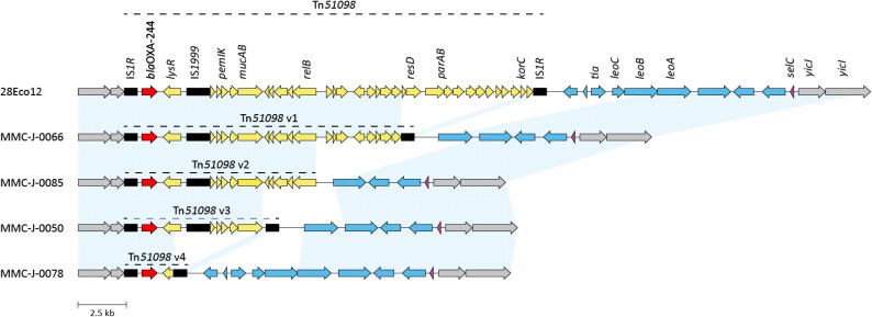 Figure 2