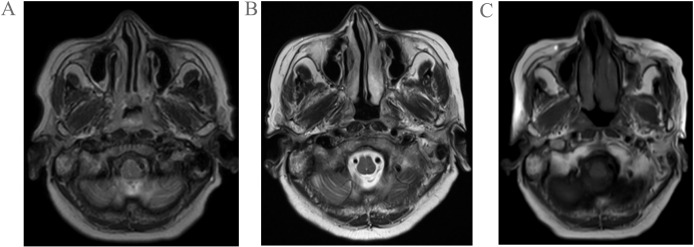 Figure 1
