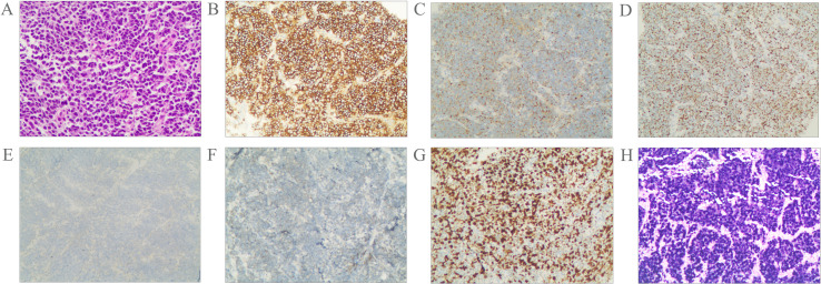 Figure 2