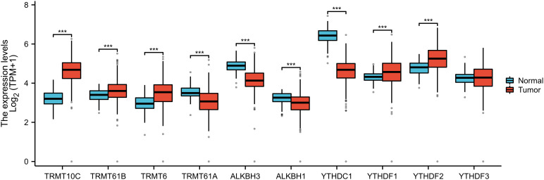 Figure 2