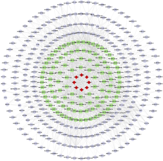 Figure 9