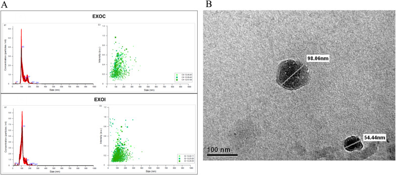 Figure 2