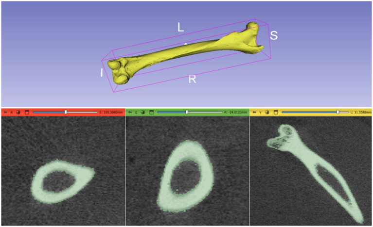 Figure 3