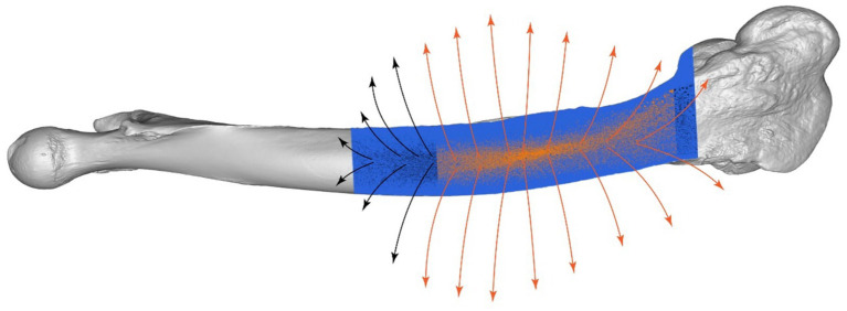 Figure 8