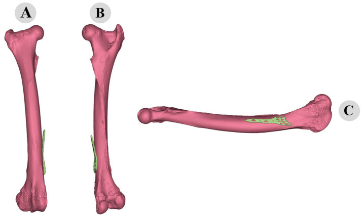 Figure 10