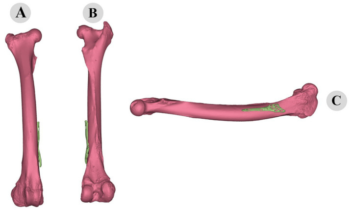Figure 11