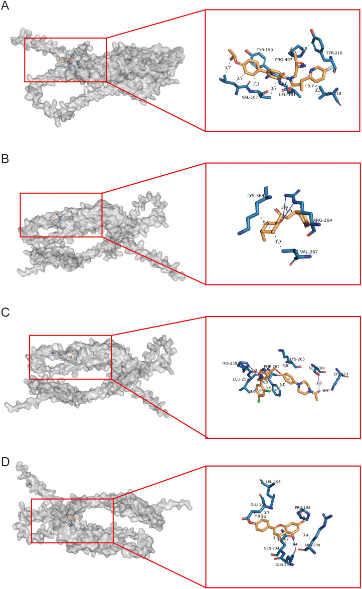 Figure 9