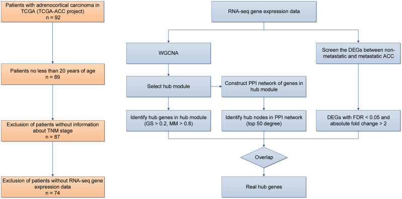 Figure 1