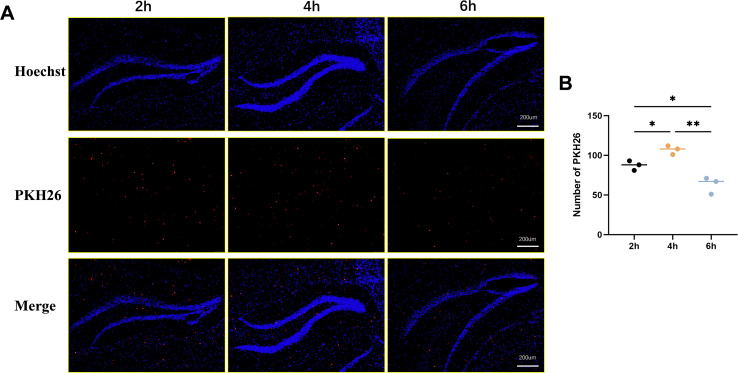 Figure 3