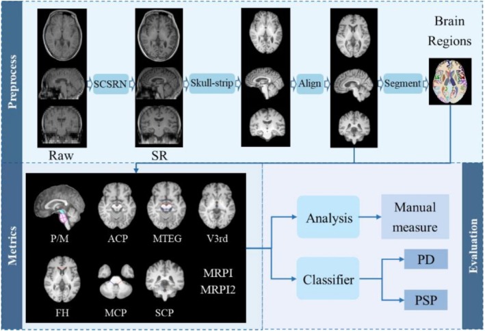 FIGURE 1